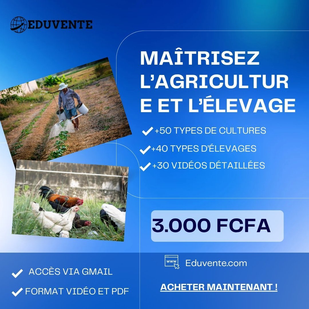 Maîtrisez l’immobilier